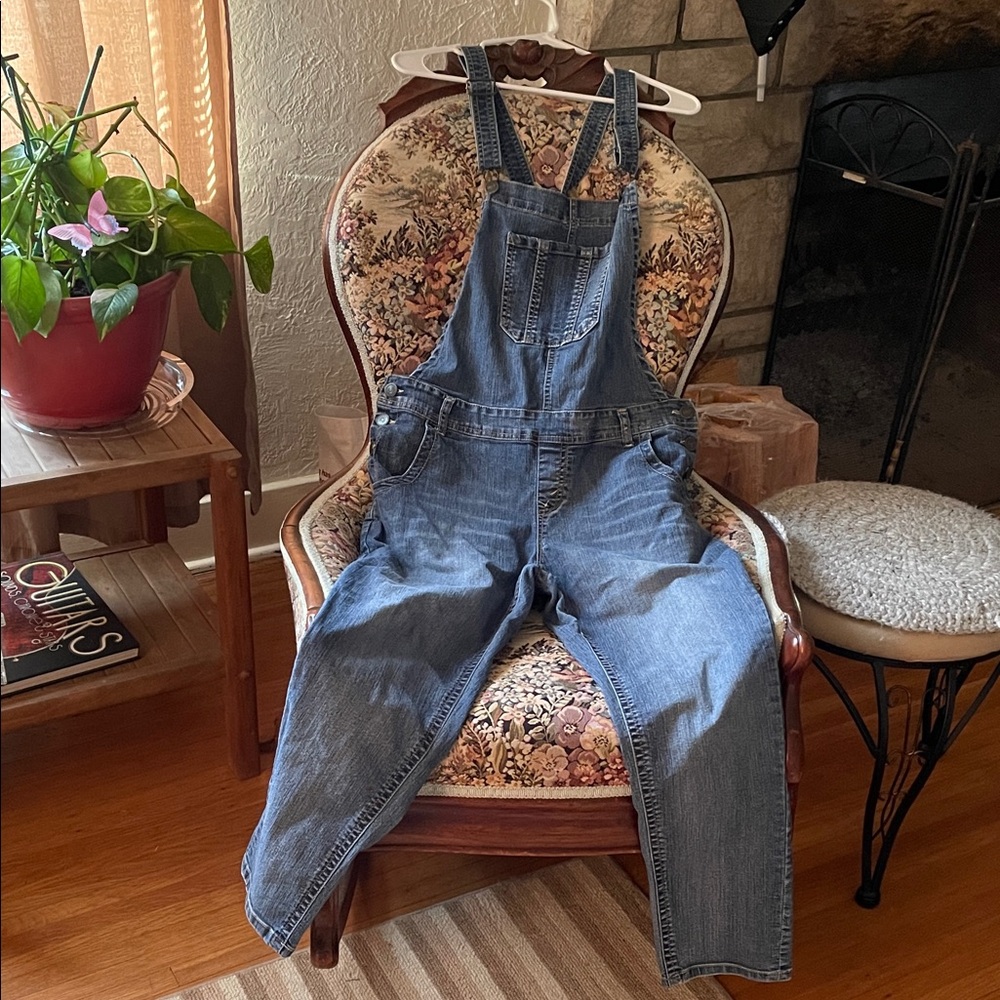 Wallflower Blue Denim Women's Overalls